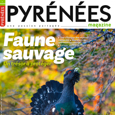 Pyrénées Magazine Frequence Luz