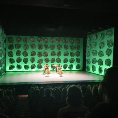 Scène du spectacle de danse au Parvis Tarbes