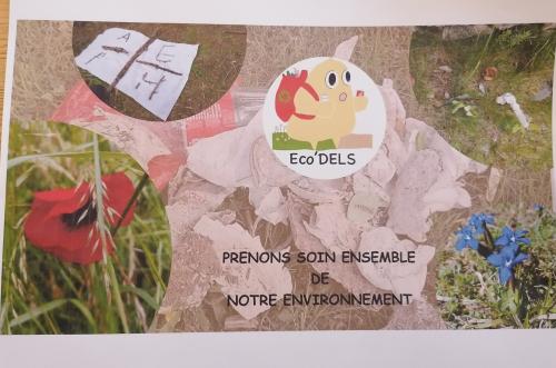 Une illustration avec des fleurs de montagne et un bonhomme